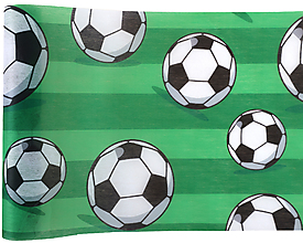 Chemin Foot 0.3x2.5m