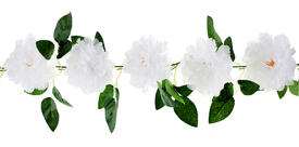 Guirlande pivoines Blanc 140cm