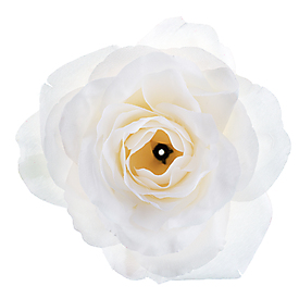 4 Roses Blanche Ø 10 x 7.5 cm