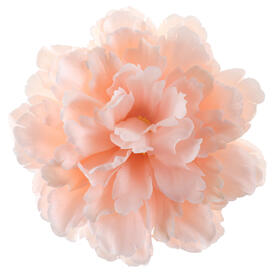 4 pivoines peche 4 Roses Blanche Ø 11 x 5 cm
