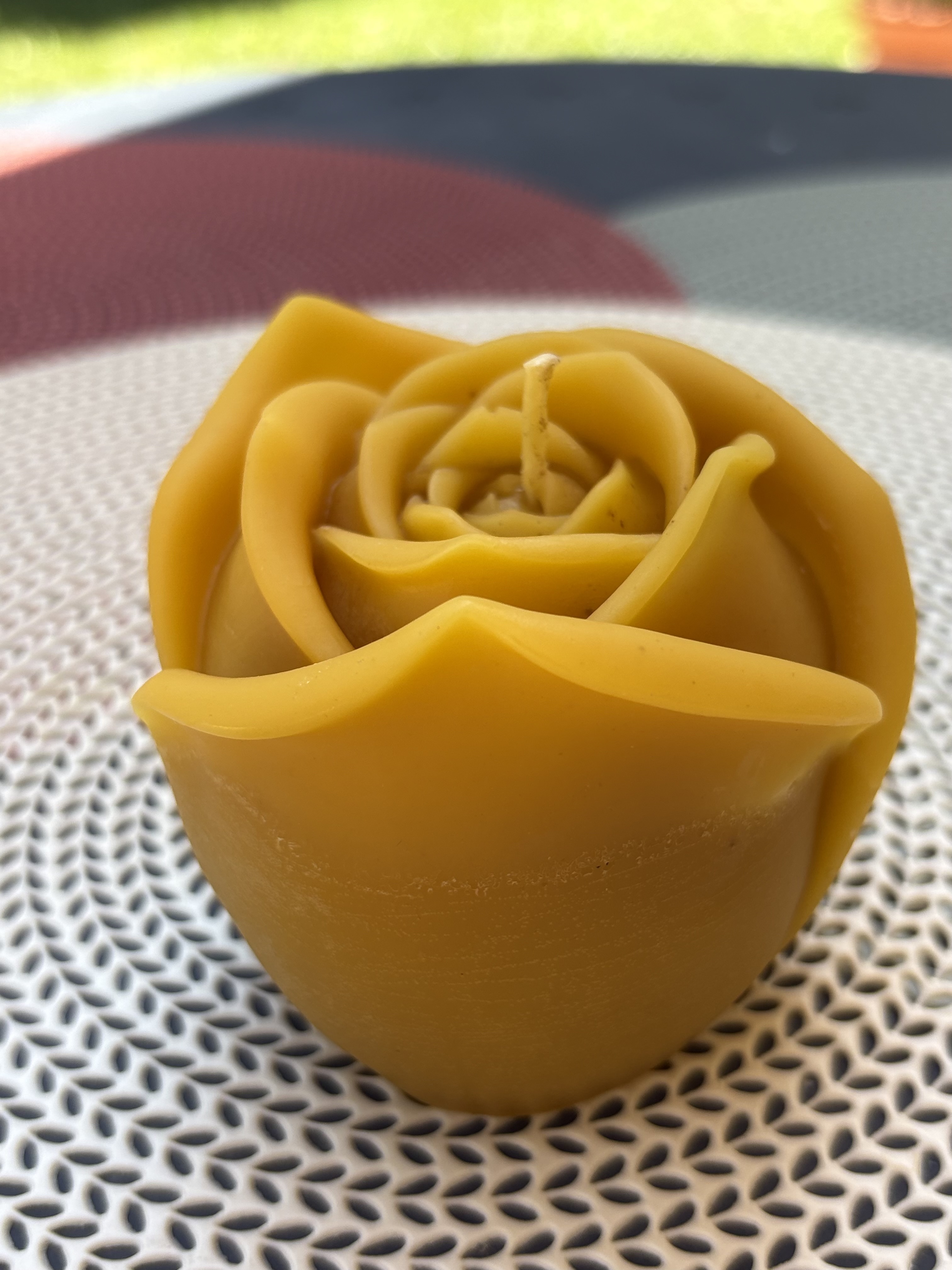 Rose grand modèle