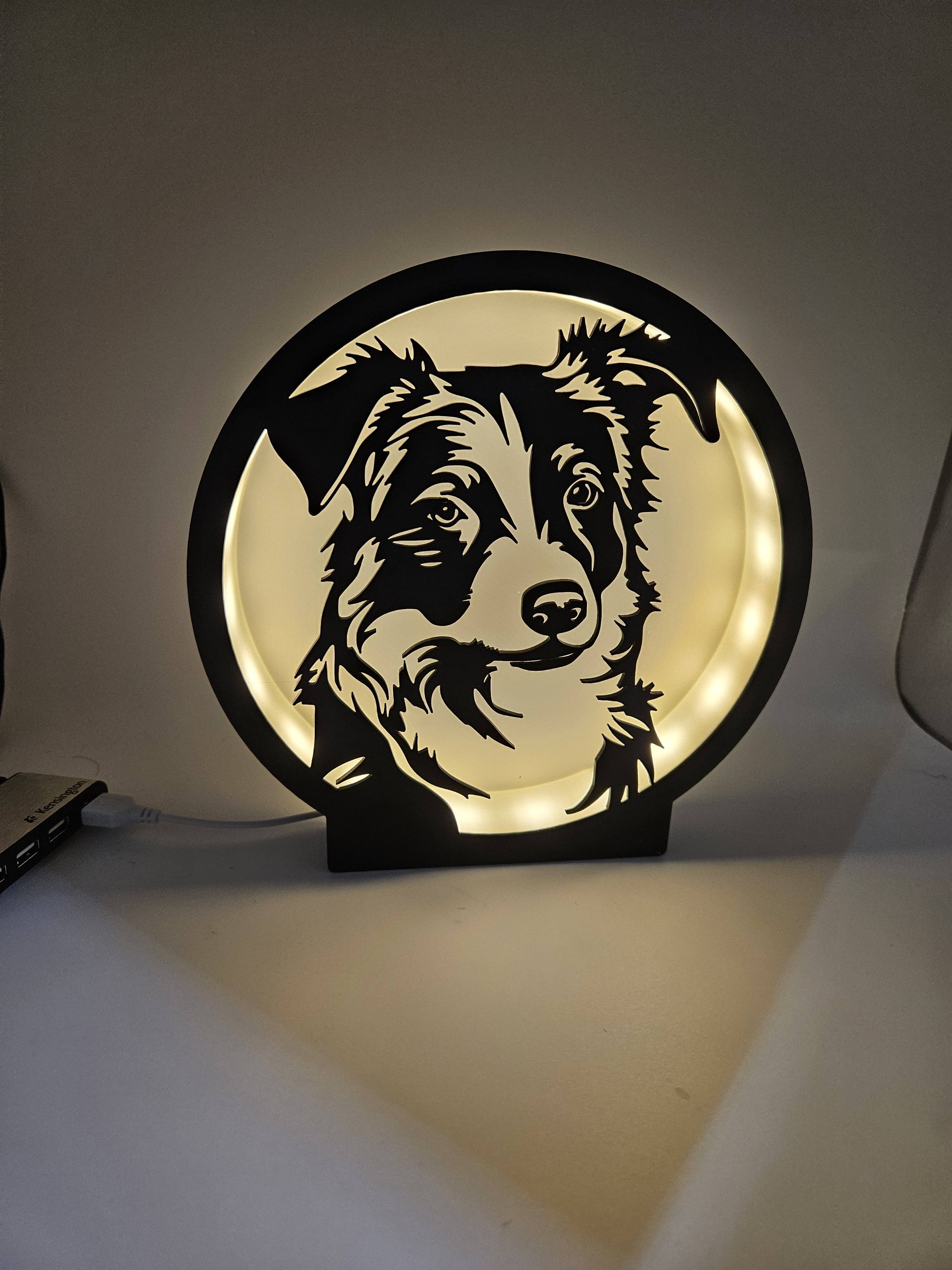 Lampe moderne lumineuse chien border collie