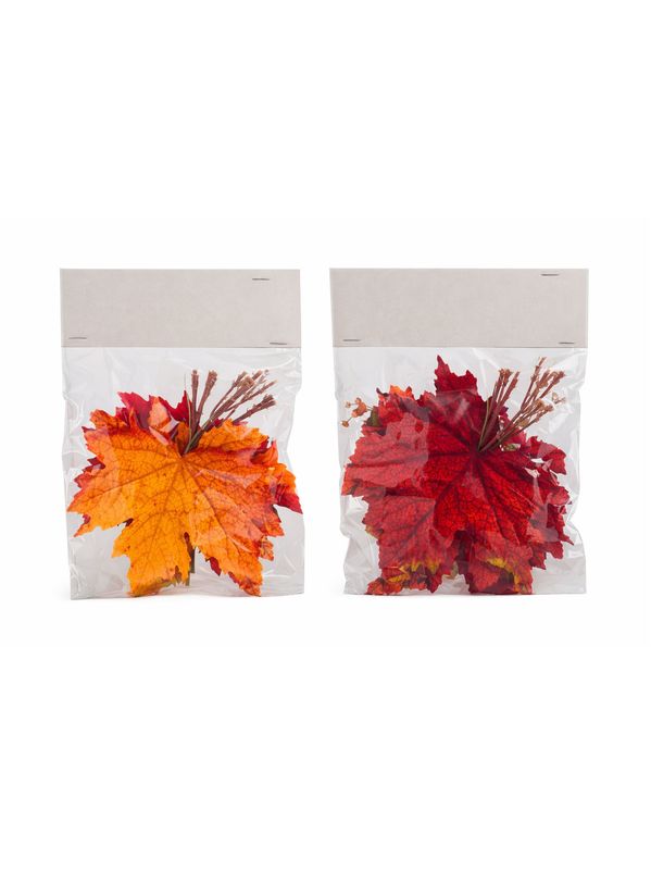 Feuilles