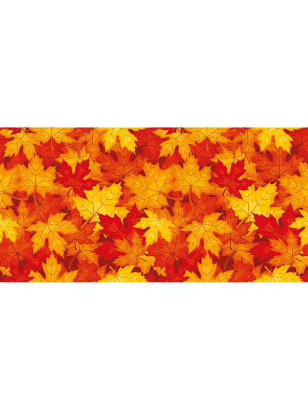 Chemin feuilles 5m
