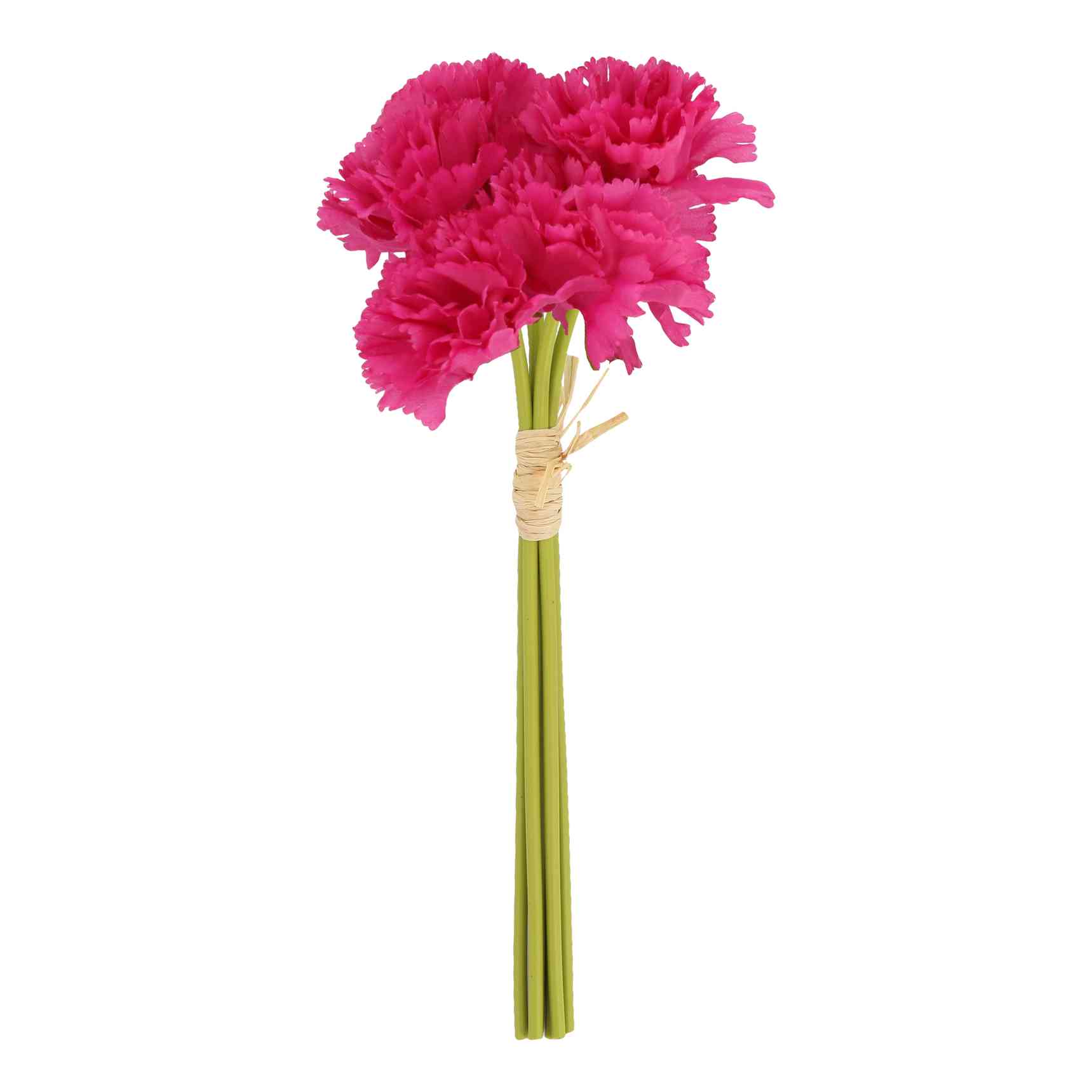Bouquet de 6 Œillets FramboiseØ6,5x32cm