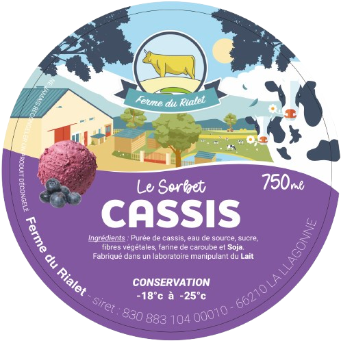Sorbet CASSIS 750 ml