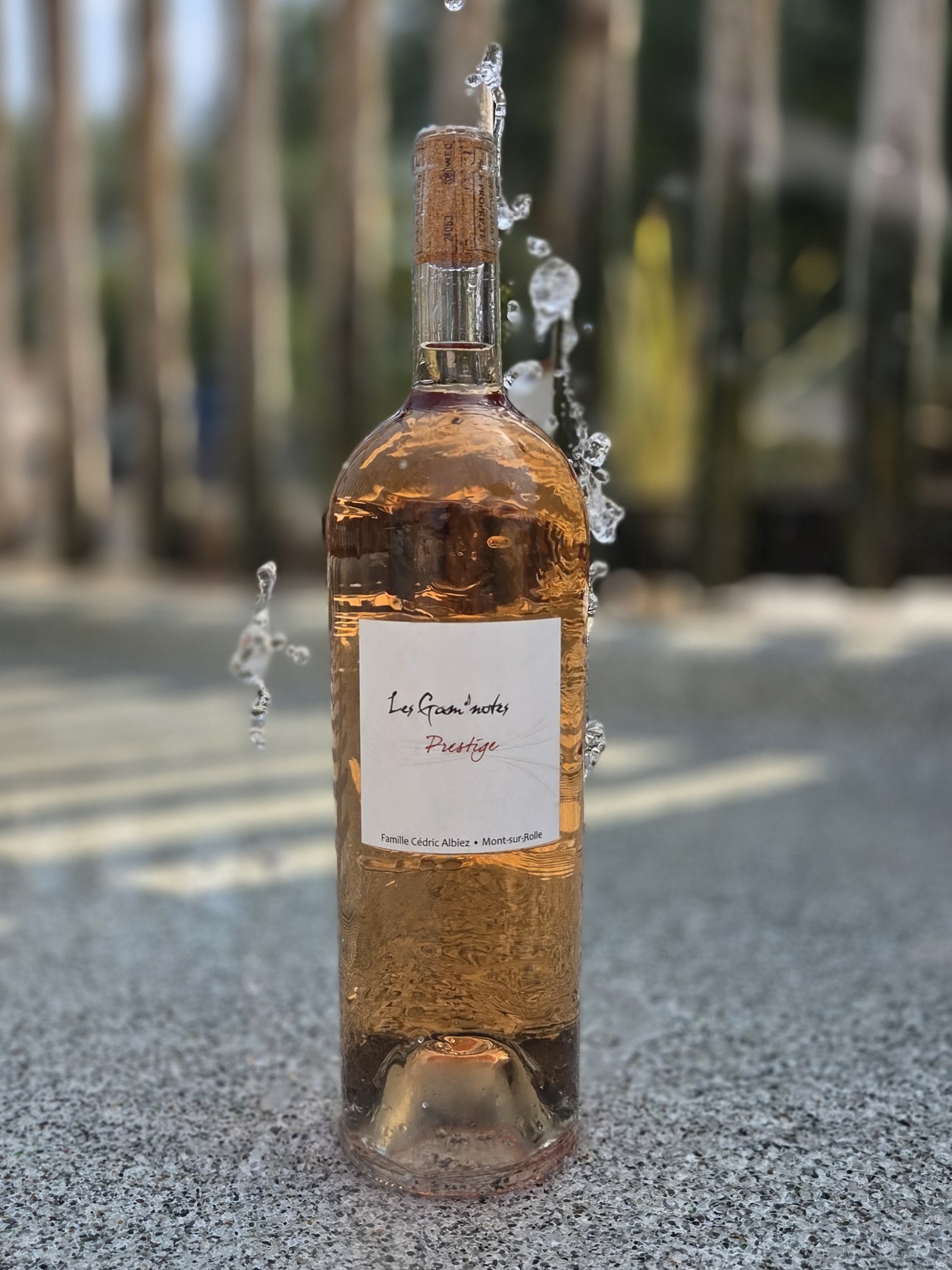 Magnum - Rosé de Syrah