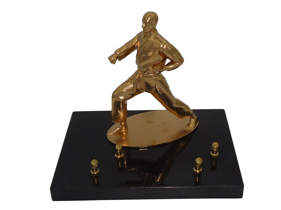 Plaque Art martial