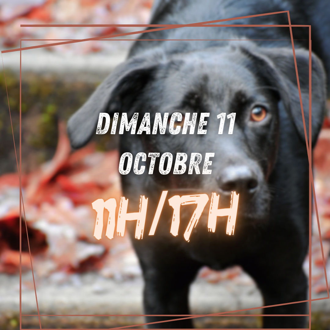 10~ Dimanche 11 Octobre 11h/17h