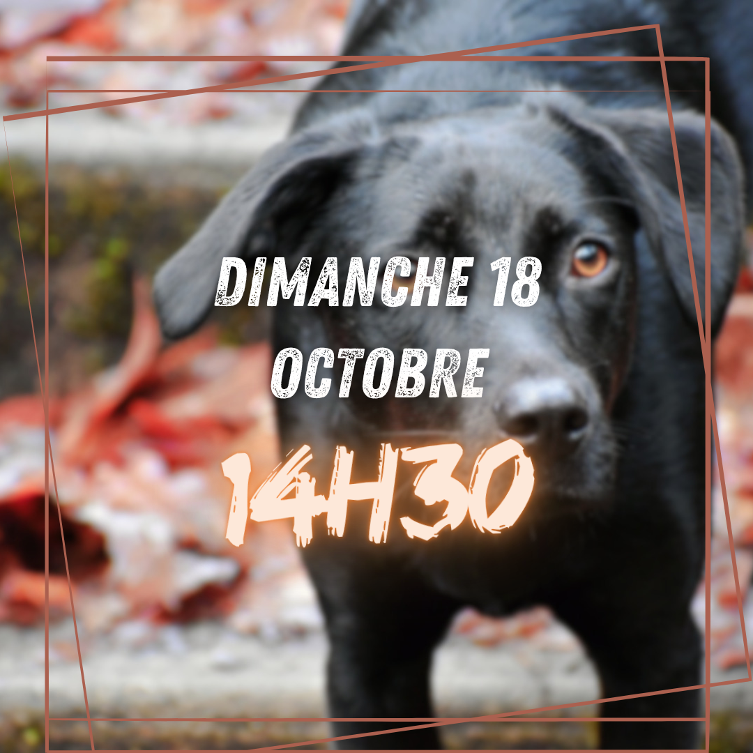 10~ Dimanche 18 Octobre 14h30