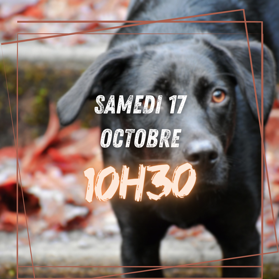 10~ Samedi 17 Octobre 10h30 