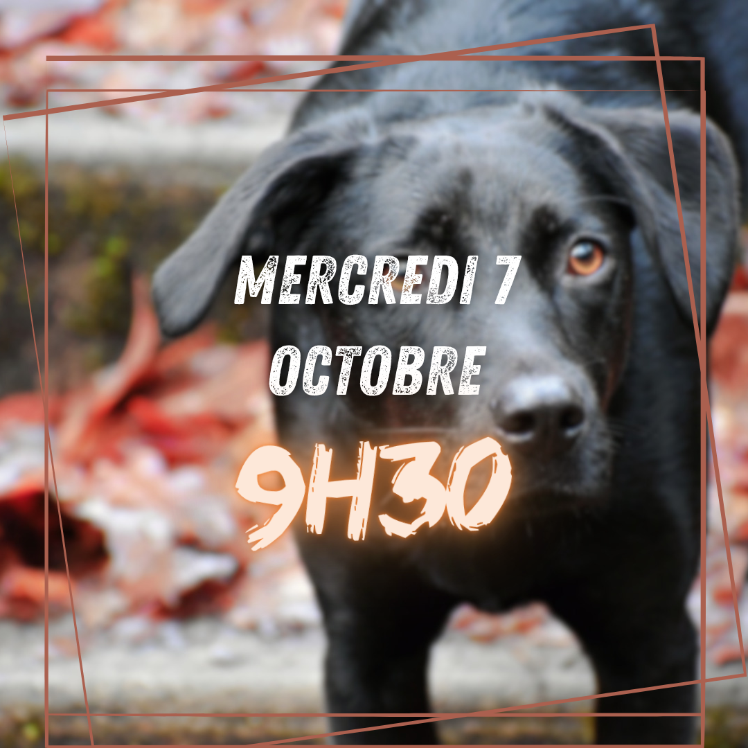 10~ Mercredi 7 Octobre 9h30