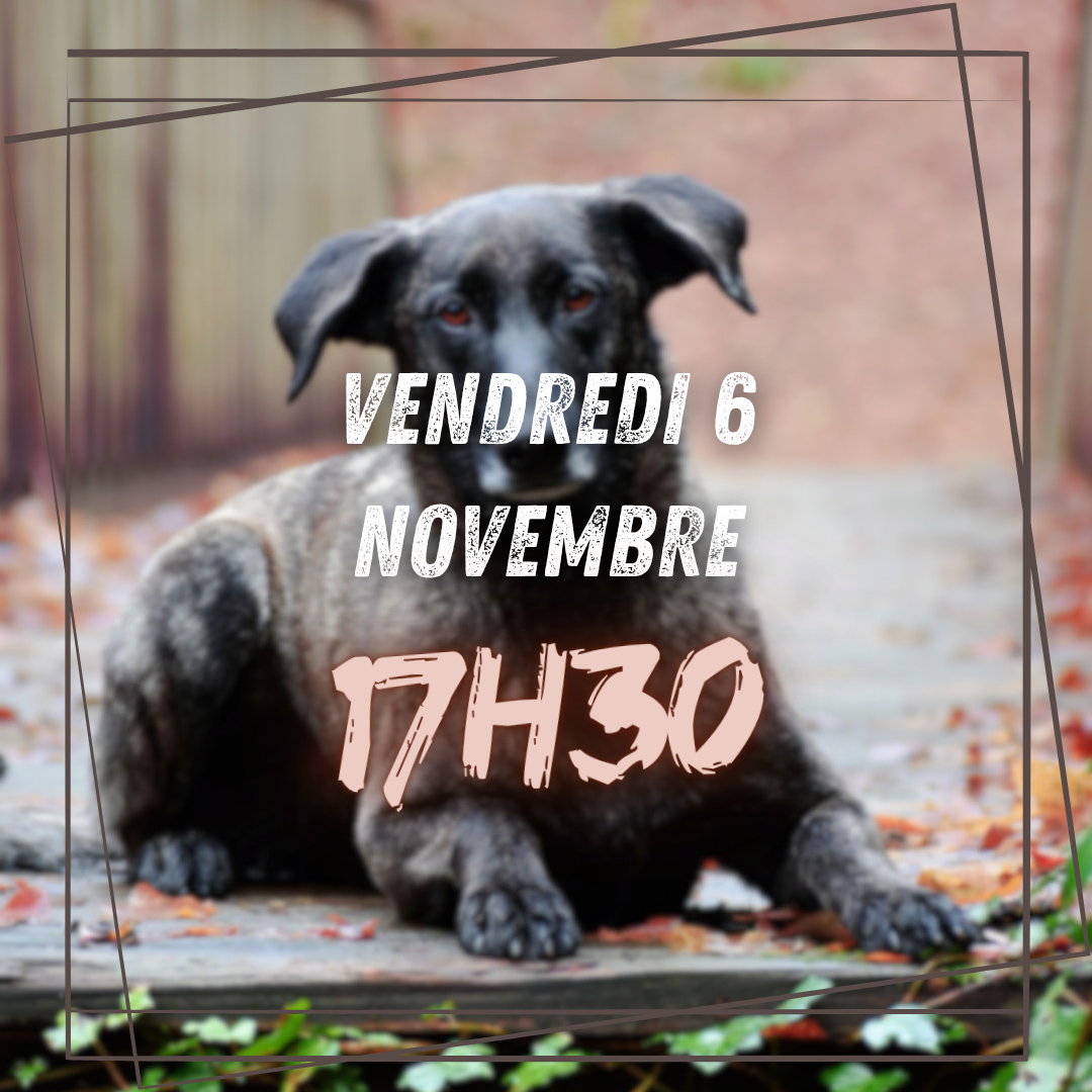 11~ Vendredi 1er Novembre 17h30
