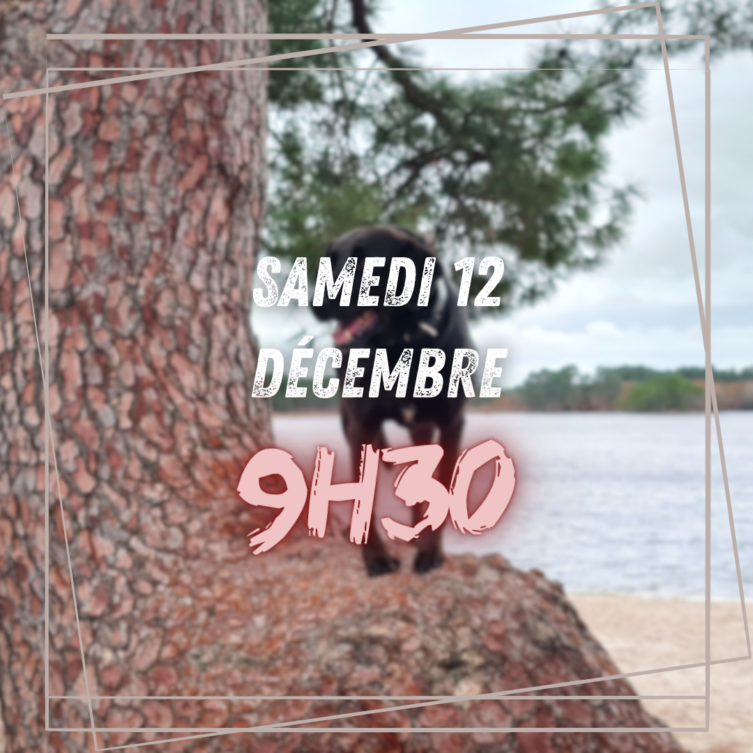12~ Samedi 12 Décembre 9h30