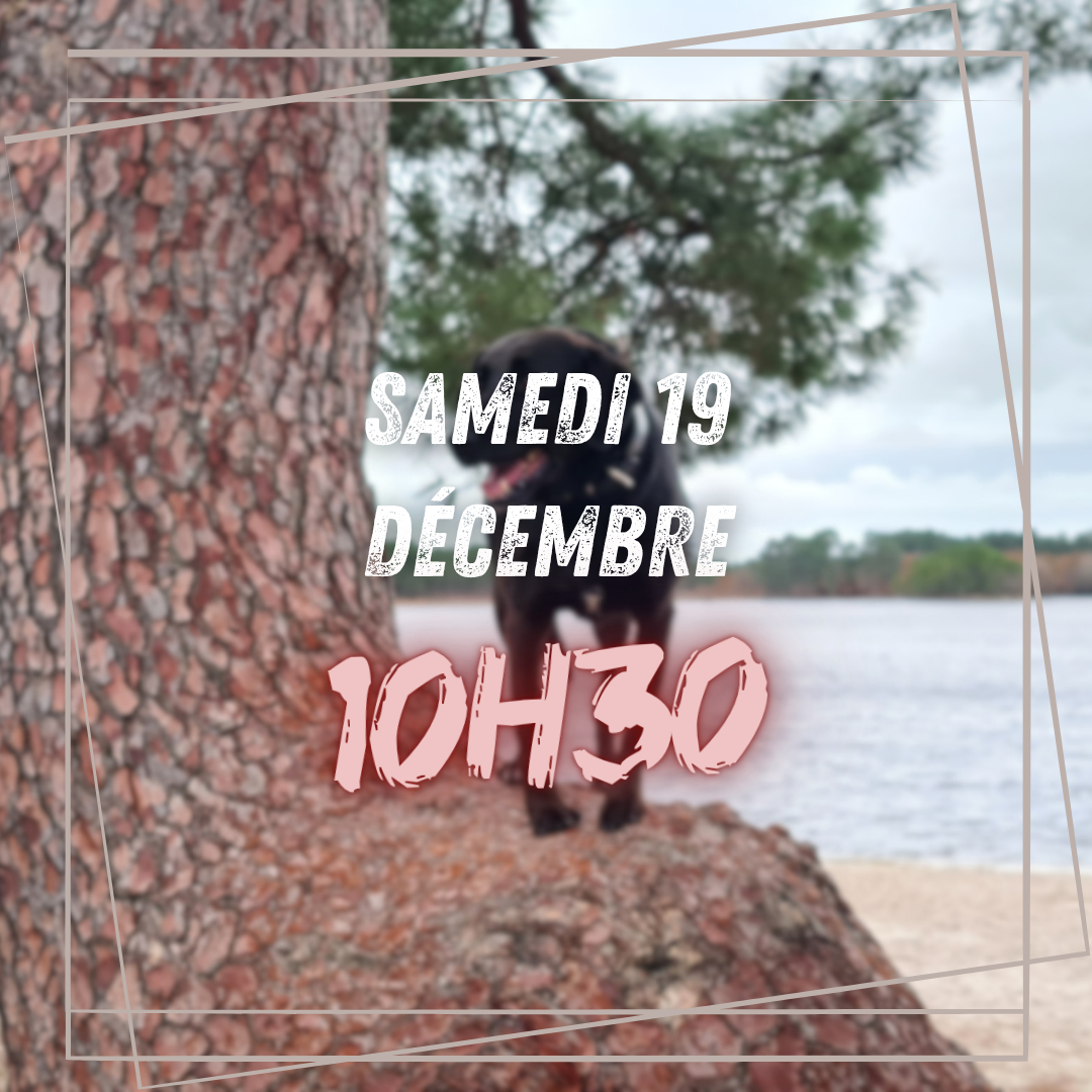 12~ Samedi 19 Décembre 10h30