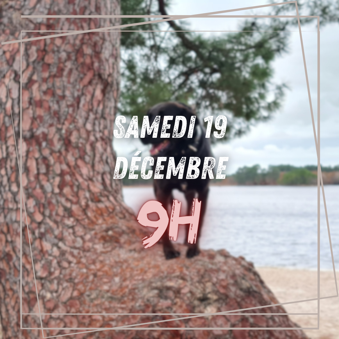 12~ Samedi 19 Décembre 9h