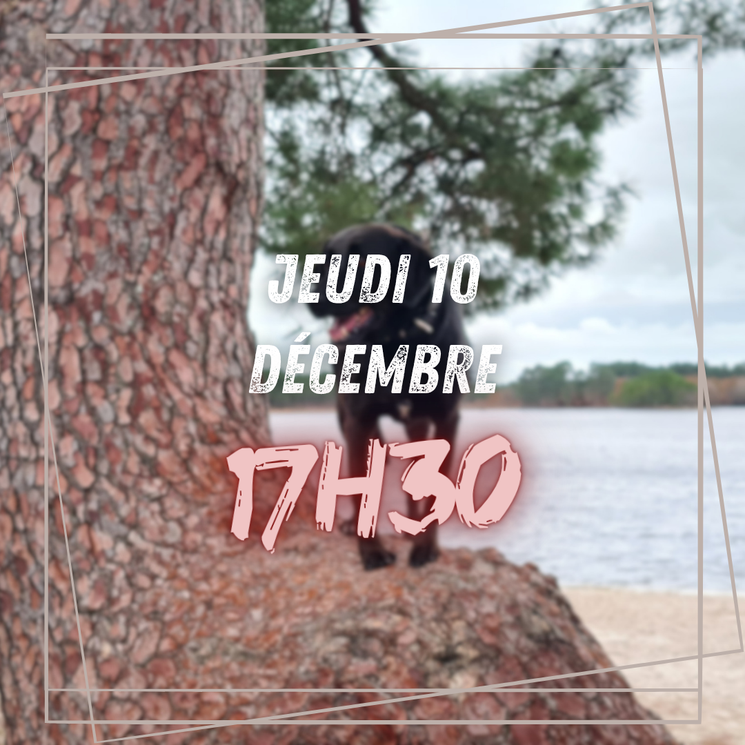 12~ Jeudi 10 Décembre 17h30