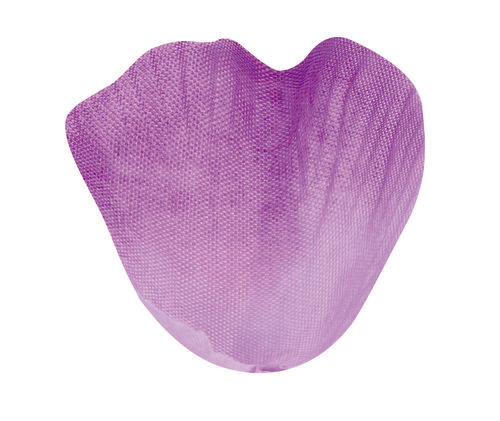Sachet de 100 pétales parme