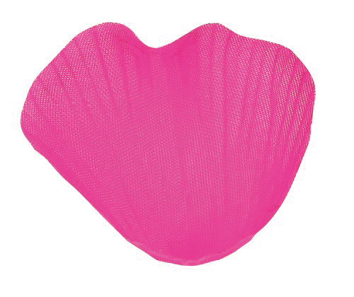 Sachet de 100 pétales fuchsia