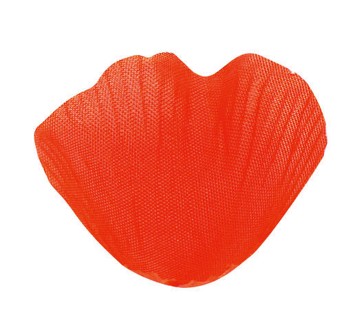 Sachet de 100 pétales orange