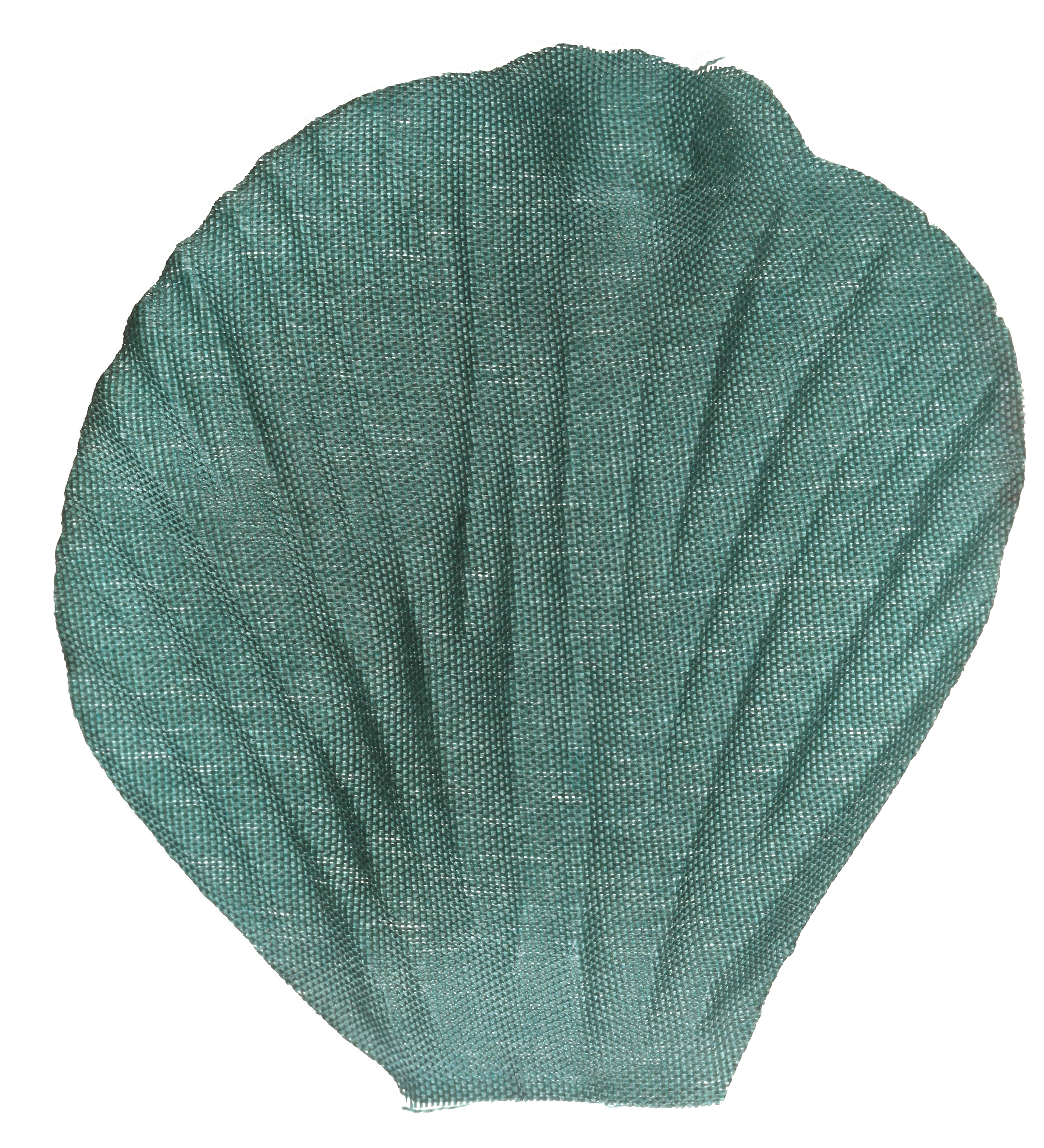 Sachet de 100 pétales eucalyptus