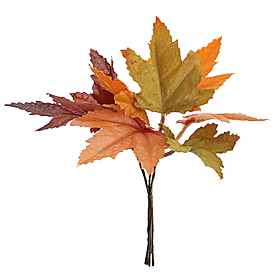 Bouquet feuilles d'Automne