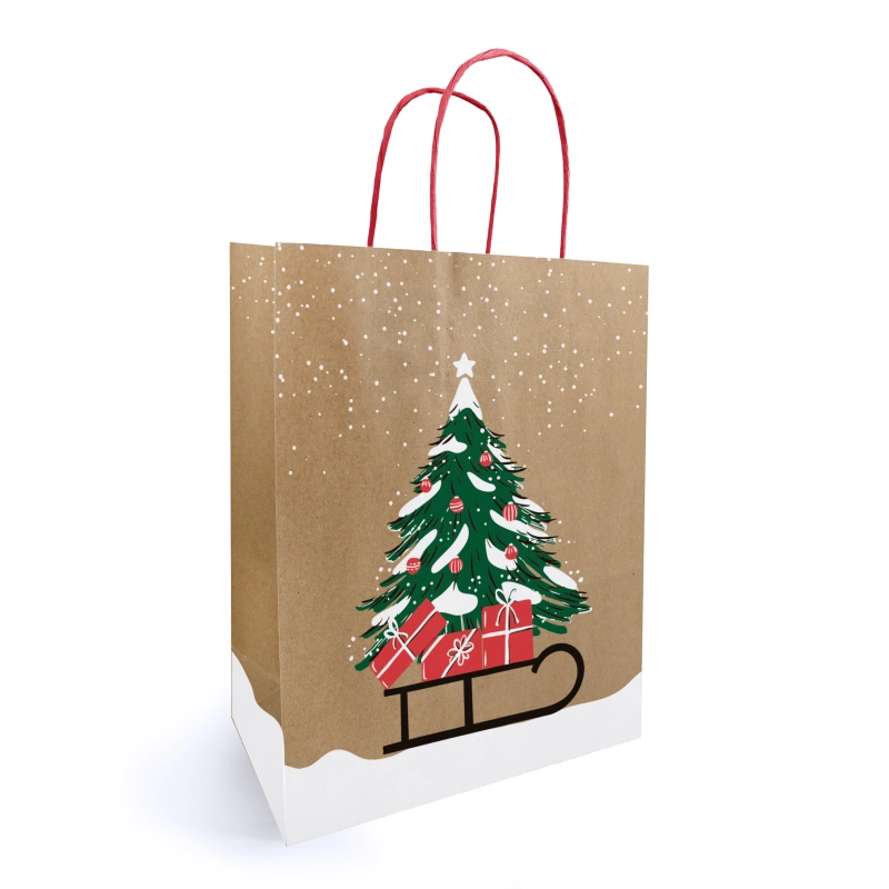 50 sacs kraft motif 23x12x30cm