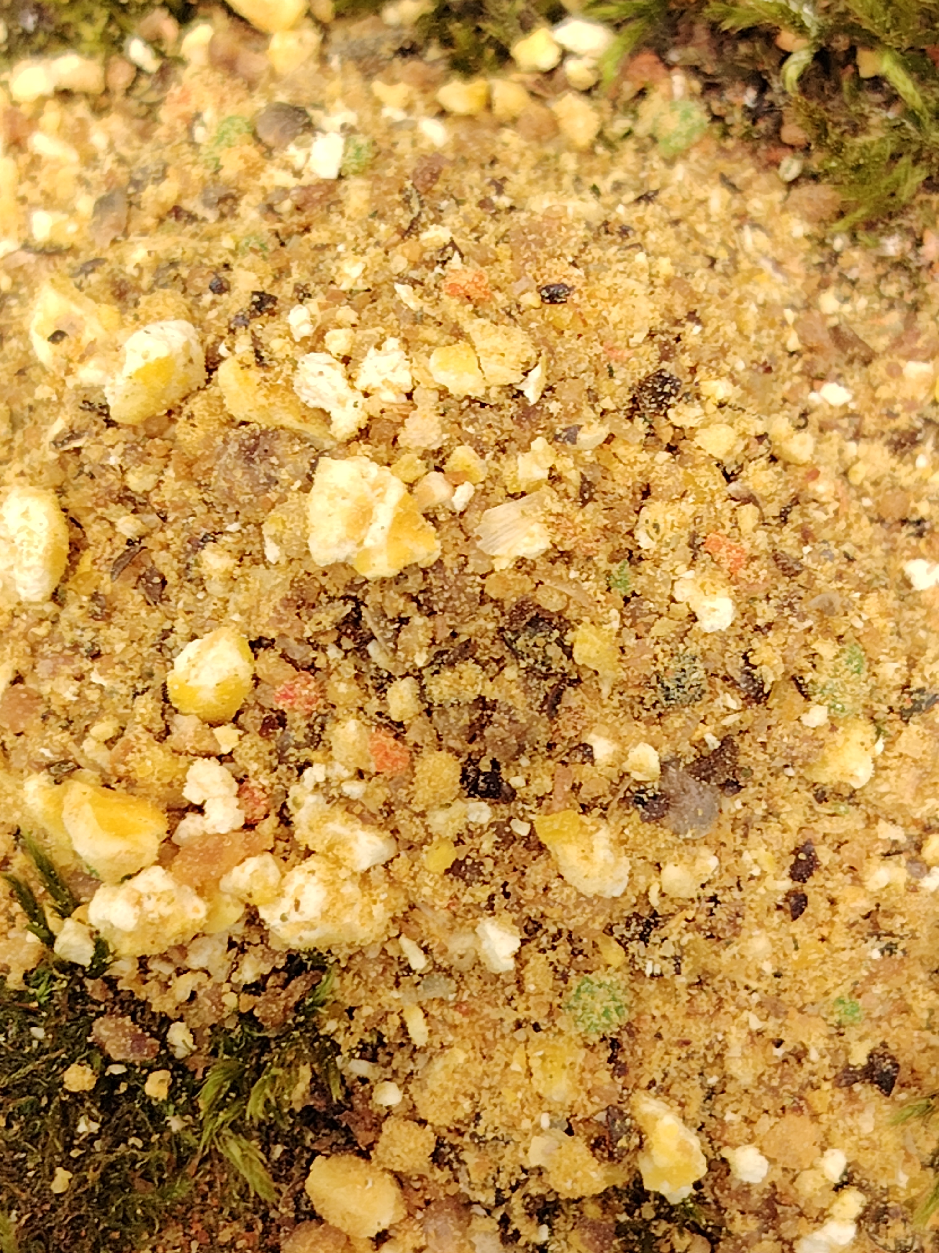 Stick-mix tutti frutti 1kg