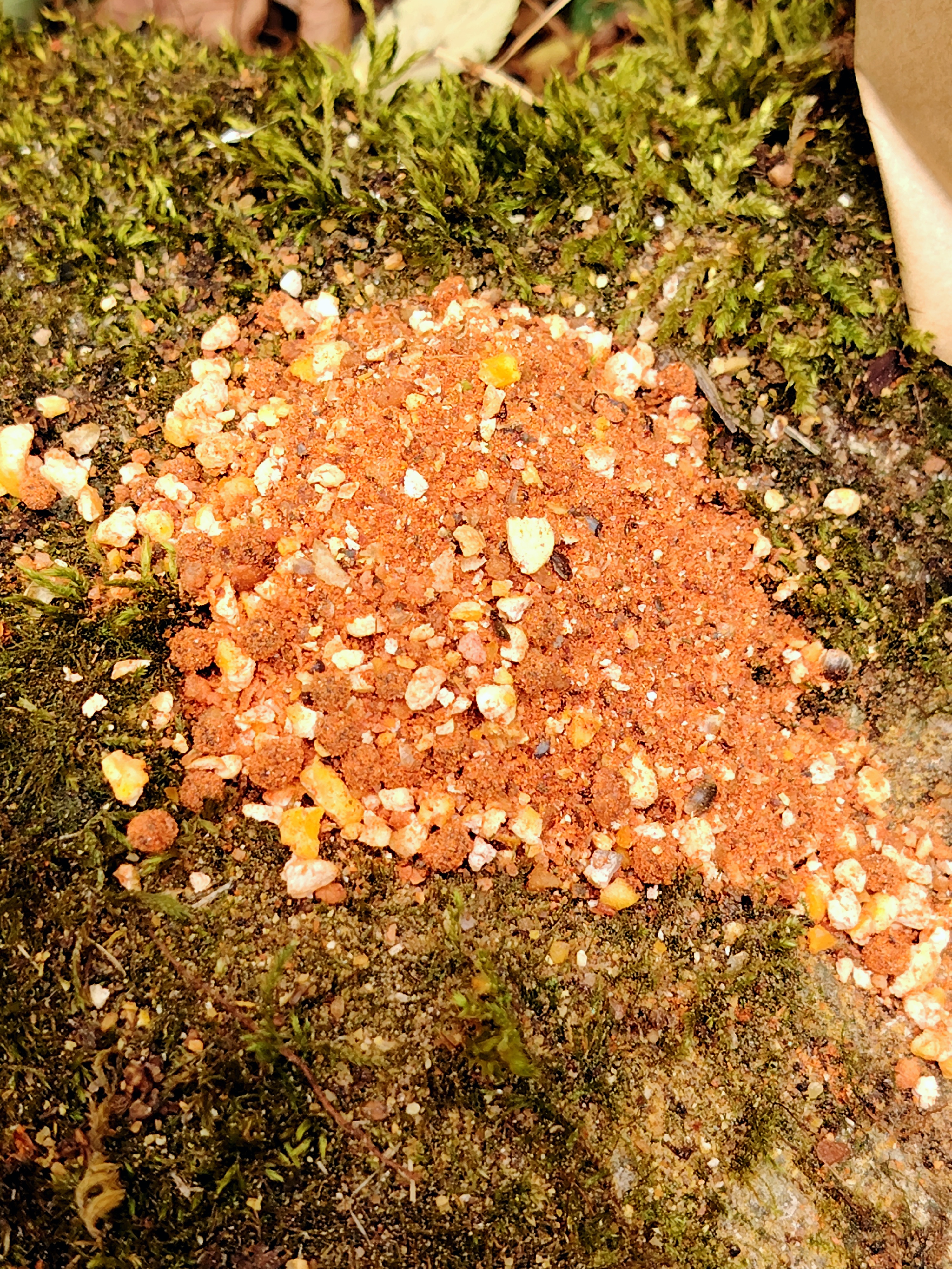 Stick-Mix Robin Red Krill 1kg