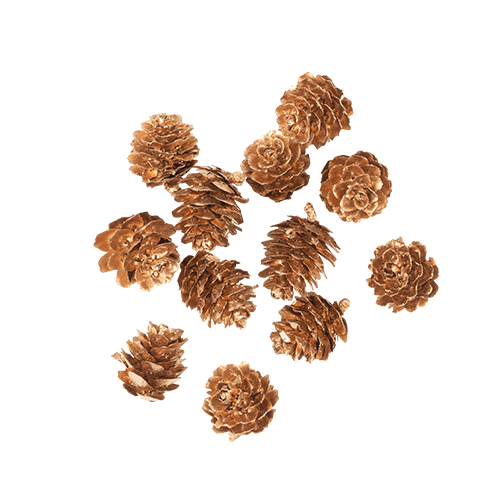 12 Pommes de Pin OrØ2cm 