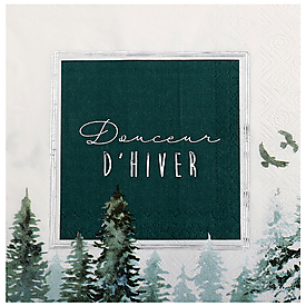 10 serviettes douceur d'hiver 