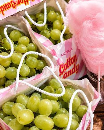 RAISIN CANDY ROSE ET BLANC