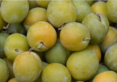 PRUNE REINE CLAUDE 100g