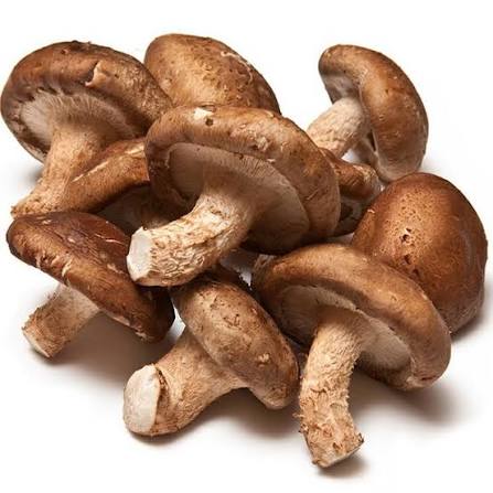 CHAMPIGNON SHIITAKE