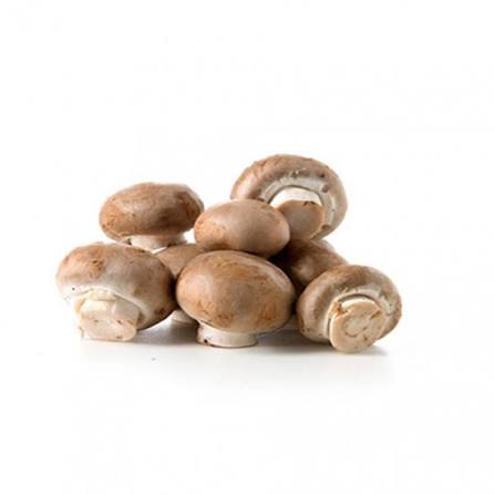 CHAMPIGNON BLOND