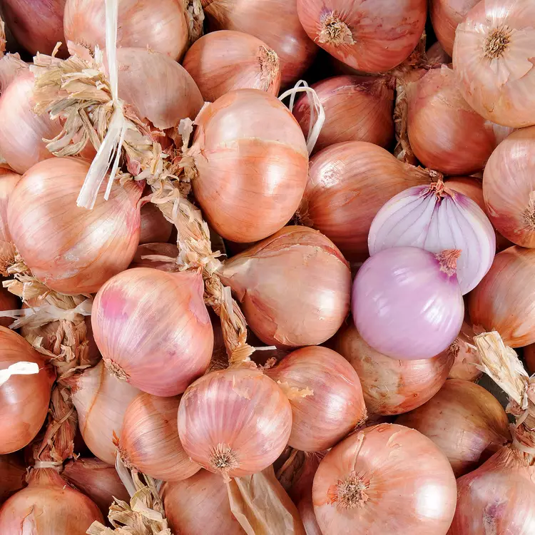 OIGNON ROSE 100gr