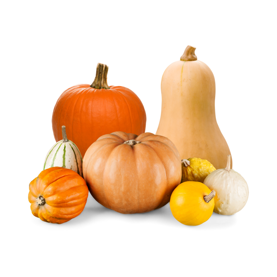COURGE VARIER