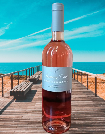 Gamay / Domaine de la Roche Blanche