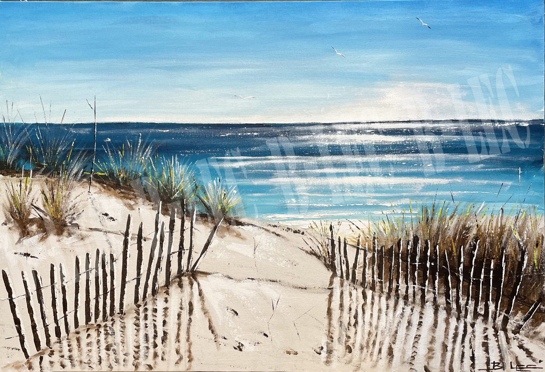 ....Ganivelles dans les dunes
