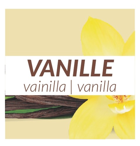 4 yaourts Vanille 