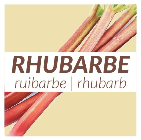 4 yaourts Rhubarbe 