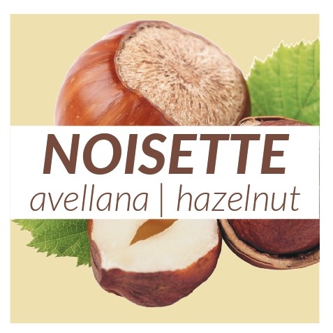 4 yaourts Noisette