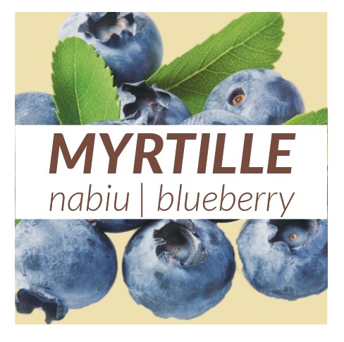 4 yaourts Myrtille 