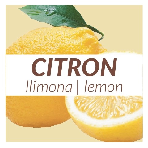 4 yaourts Citron