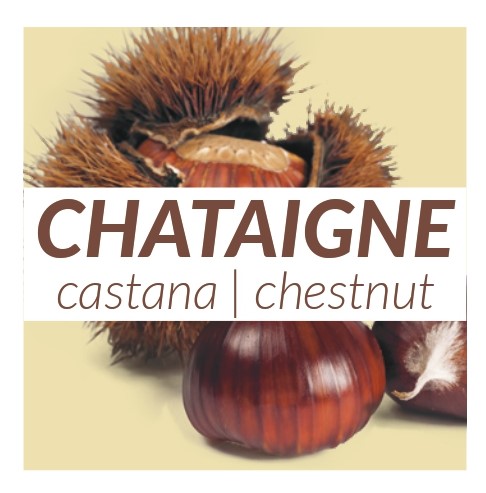 4 yaourts Chataigne