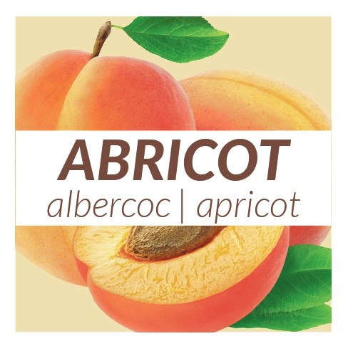 4 yaourts Abricot 