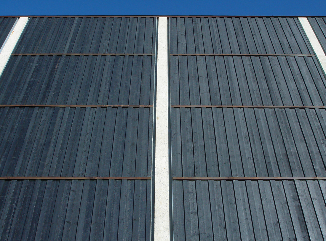 DSC01537 w