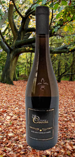  MOUZILLON - TILLIERES 2014