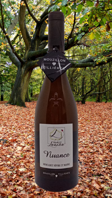   MOUZILLON - TILLIERES 2019