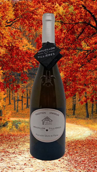 MOUZILLON-TILLIERES 2014